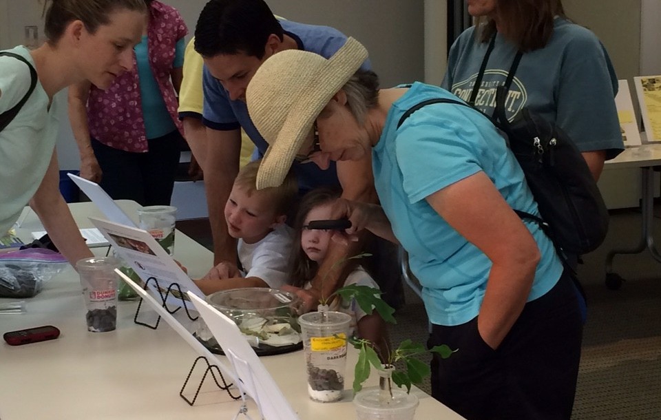 museum activity