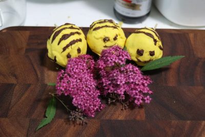 Three bee pops and a flower