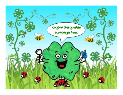 clover around bugs