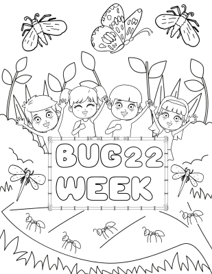 Bug Week Coloring Page