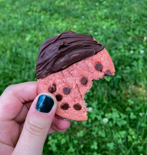 A finished lady beetle cookie with a bite taken from it held in a hand in front of a grass background